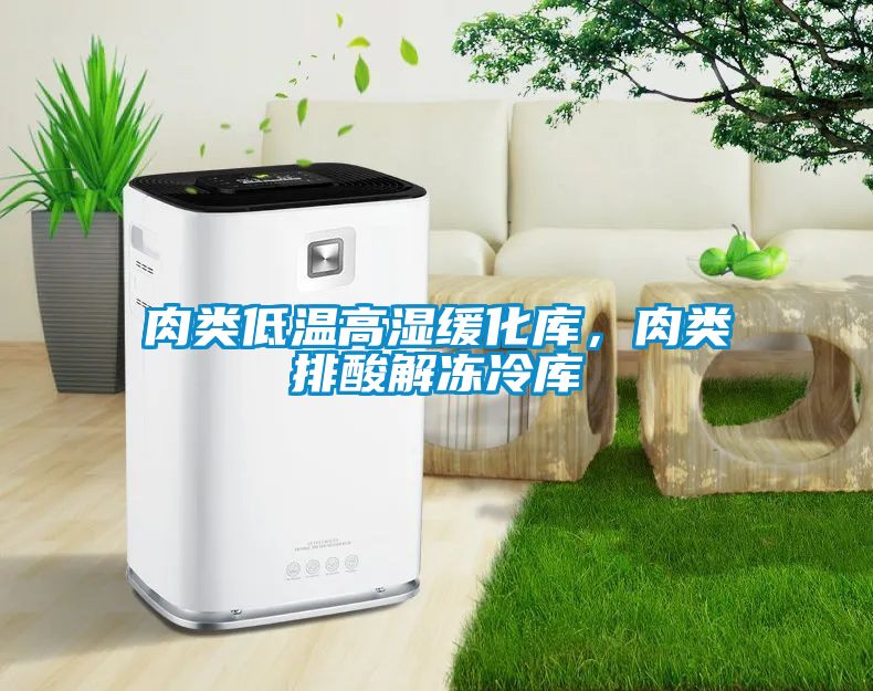 肉类低温高湿缓化库，肉类排酸解冻冷库