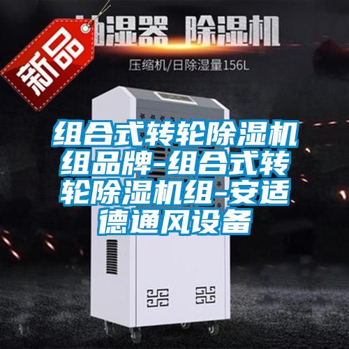 组合式转轮香蕉视频国产APP下载机组品牌-组合式转轮香蕉视频国产APP下载机组-安适德通风设备