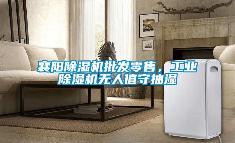 襄阳香蕉视频国产APP下载机批发零售，工业香蕉视频国产APP下载机无人值守抽湿