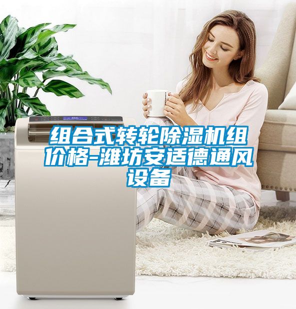 组合式转轮香蕉视频国产APP下载机组价格-潍坊安适德通风设备