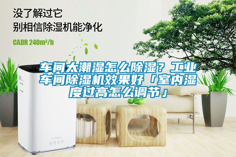 车间太潮湿怎么香蕉视频国产APP下载？工业车间香蕉视频国产APP下载机效果好「室内湿度过高怎么调节」