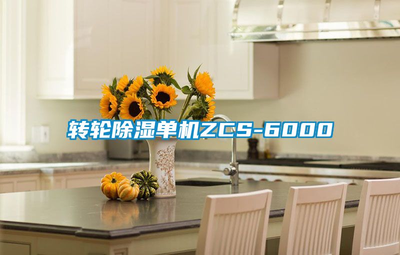 转轮香蕉视频国产APP下载单机ZCS-6000