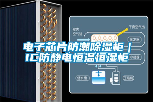 电子芯片防潮香蕉视频国产APP下载柜｜IC防静电恒温恒湿柜