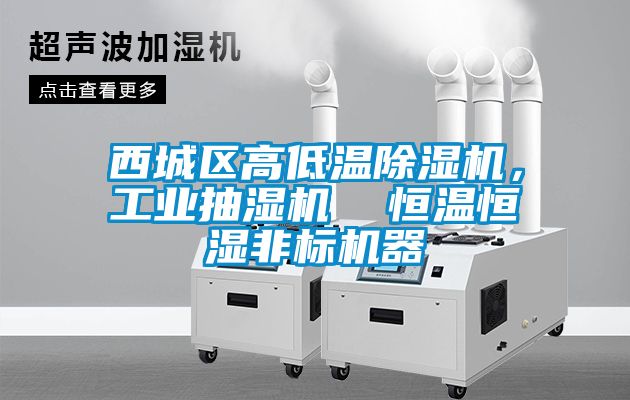 西城区高低温香蕉视频国产APP下载机，工业抽湿机  恒温恒湿非标机器