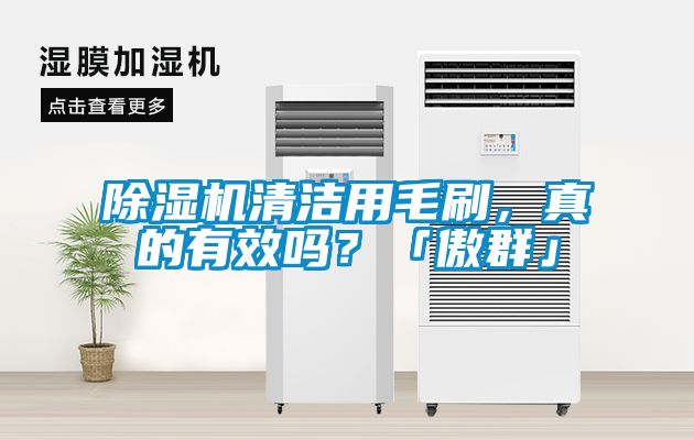 香蕉视频国产APP下载机清洁用毛刷，真的有效吗？「傲群」