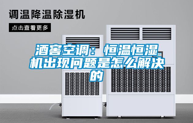 酒窖空调：恒温恒湿机出现问题是怎么解决的