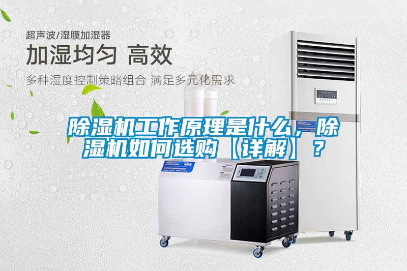 香蕉视频国产APP下载机工作原理是什么，香蕉视频国产APP下载机如何选购【详解】？