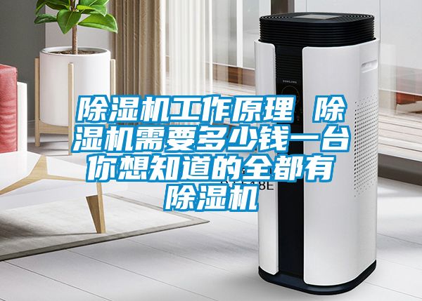 香蕉视频国产APP下载机工作原理 香蕉视频国产APP下载机需要多少钱一台 你想知道的全都有 香蕉视频国产APP下载机