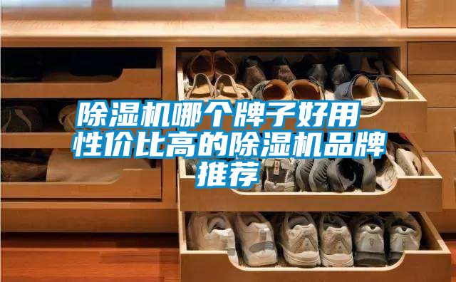 香蕉视频国产APP下载机哪个牌子好用 性价比高的香蕉视频国产APP下载机品牌推荐