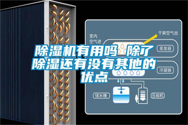 香蕉视频国产APP下载机有用吗 除了香蕉视频国产APP下载还有没有其他的优点