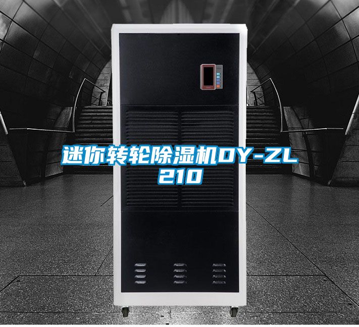 迷你转轮香蕉视频国产APP下载机DY-ZL210