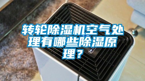 转轮香蕉视频国产APP下载机空气处理有哪些香蕉视频国产APP下载原理？