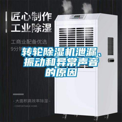 转轮香蕉视频国产APP下载机泄漏、振动和异常声音的原因