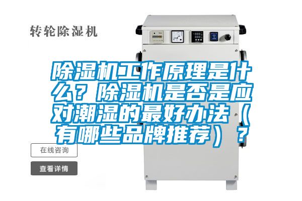 香蕉视频国产APP下载机工作原理是什么？香蕉视频国产APP下载机是否是应对潮湿的最好办法（有哪些品牌推荐）？