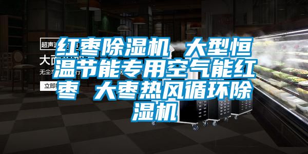 红枣香蕉视频国产APP下载机 大型恒温节能专用空气能红枣 大枣热风循环香蕉视频国产APP下载机