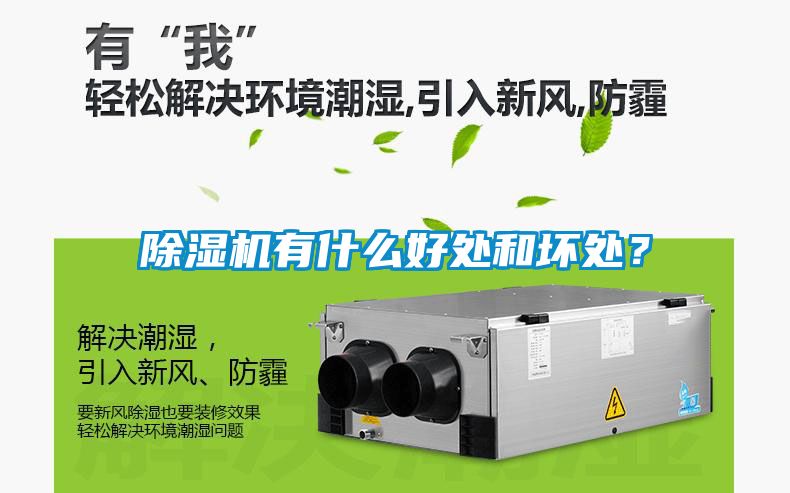 香蕉视频国产APP下载机有什么好处和坏处？