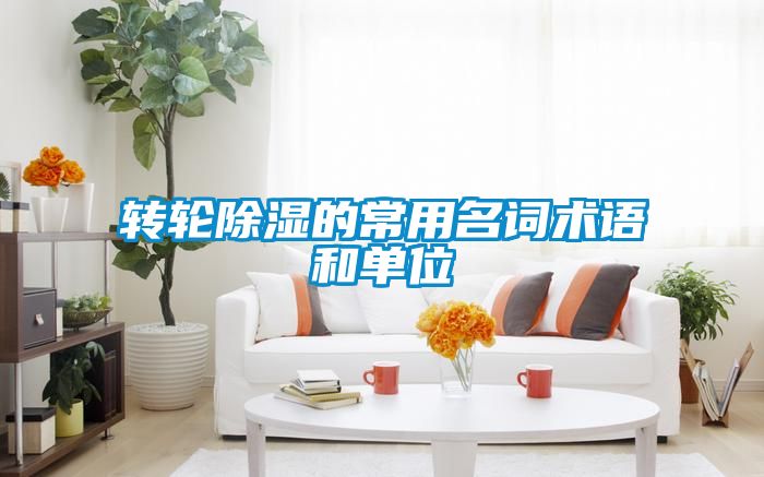 转轮香蕉视频国产APP下载的常用名词术语和单位