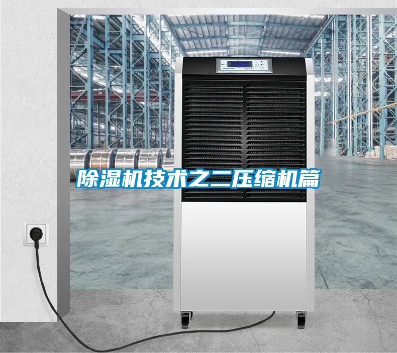 香蕉视频国产APP下载机技术之二压缩机篇