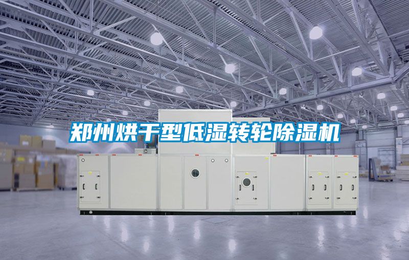 郑州烘干型低湿转轮香蕉视频国产APP下载机