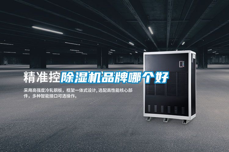 香蕉视频国产APP下载机品牌哪个好