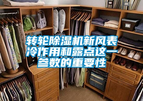 转轮香蕉视频国产APP下载机新风表冷作用和露点这一参数的重要性