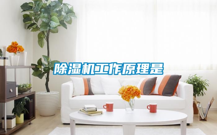 香蕉视频国产APP下载机工作原理是