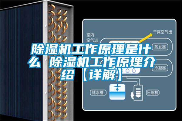 香蕉视频国产APP下载机工作原理是什么 香蕉视频国产APP下载机工作原理介绍【详解】