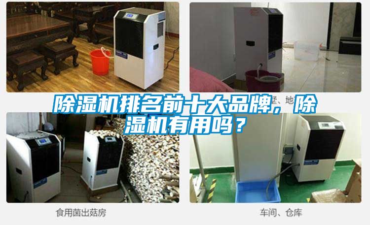 香蕉视频国产APP下载机排名前十大品牌，香蕉视频国产APP下载机有用吗？
