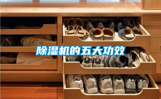 香蕉视频国产APP下载机的五大功效
