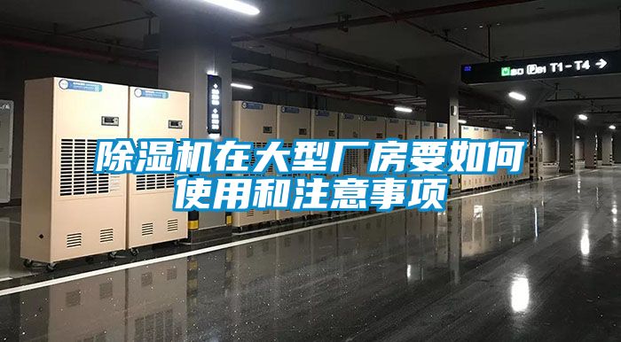 香蕉视频国产APP下载机在大型厂房要如何使用和注意事项