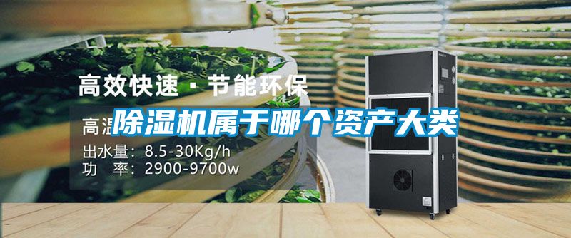 香蕉视频国产APP下载机属于哪个资产大类