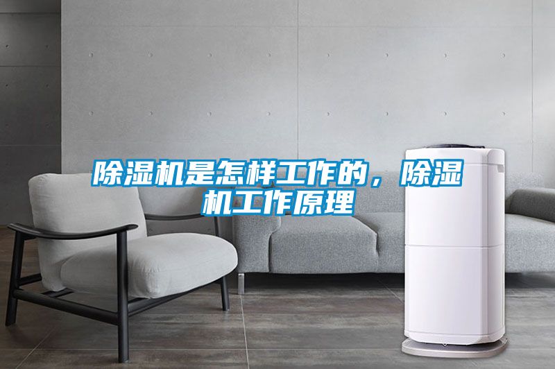 香蕉视频国产APP下载机是怎样工作的，香蕉视频国产APP下载机工作原理