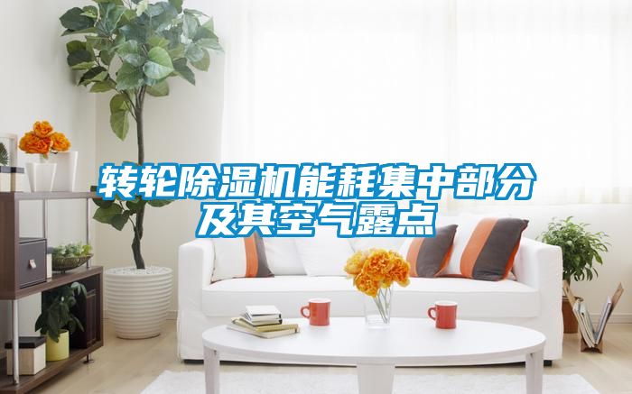 转轮香蕉视频国产APP下载机能耗集中部分及其空气露点