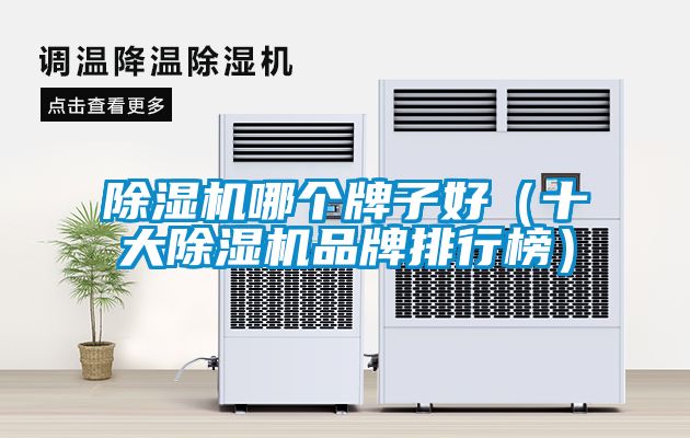 香蕉视频国产APP下载机哪个牌子好（十大香蕉视频国产APP下载机品牌排行榜）