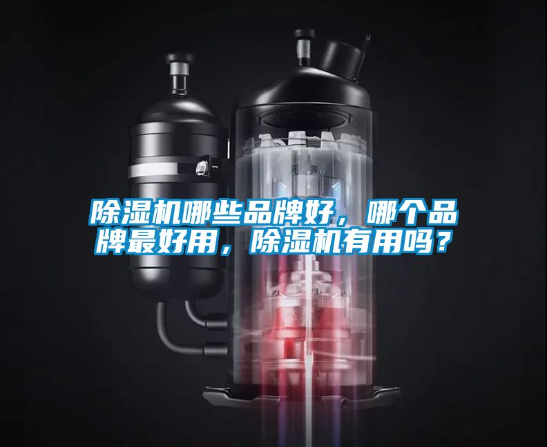 香蕉视频国产APP下载机哪些品牌好，哪个品牌最好用，香蕉视频国产APP下载机有用吗？