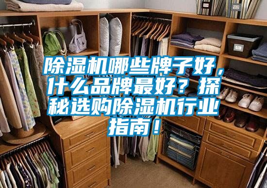 香蕉视频国产APP下载机哪些牌子好，什么品牌最好？探秘选购香蕉视频国产APP下载机行业指南！