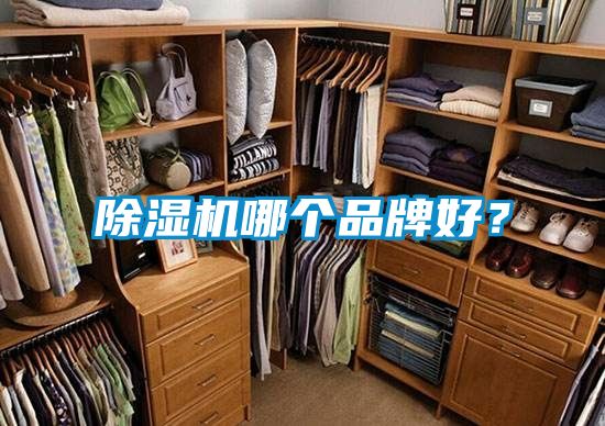 香蕉视频国产APP下载机哪个品牌好？