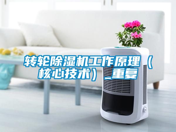 转轮香蕉视频国产APP下载机工作原理（核心技术）_重复