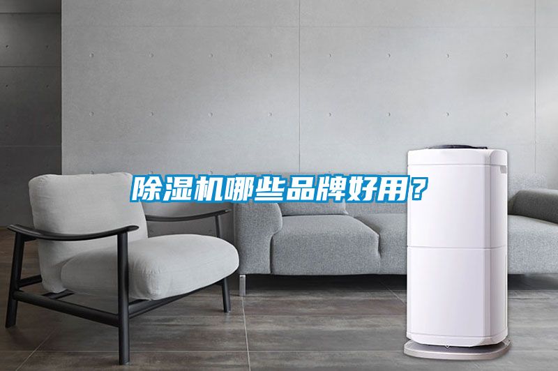 香蕉视频国产APP下载机哪些品牌好用？