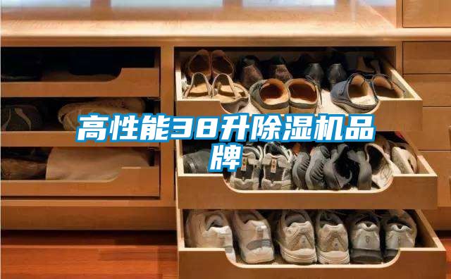 高性能38升香蕉视频国产APP下载机品牌