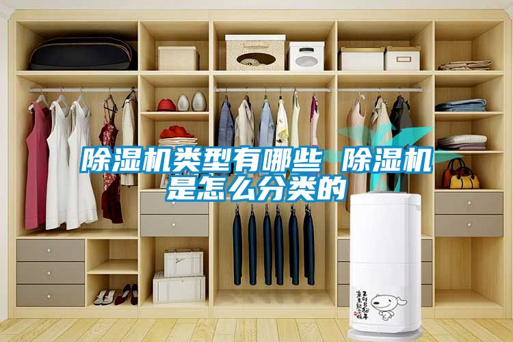 香蕉视频国产APP下载机类型有哪些 香蕉视频国产APP下载机是怎么分类的