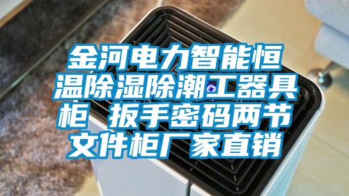 金河电力智能恒温香蕉视频国产APP下载除潮工器具柜 扳手密码两节文件柜厂家直销