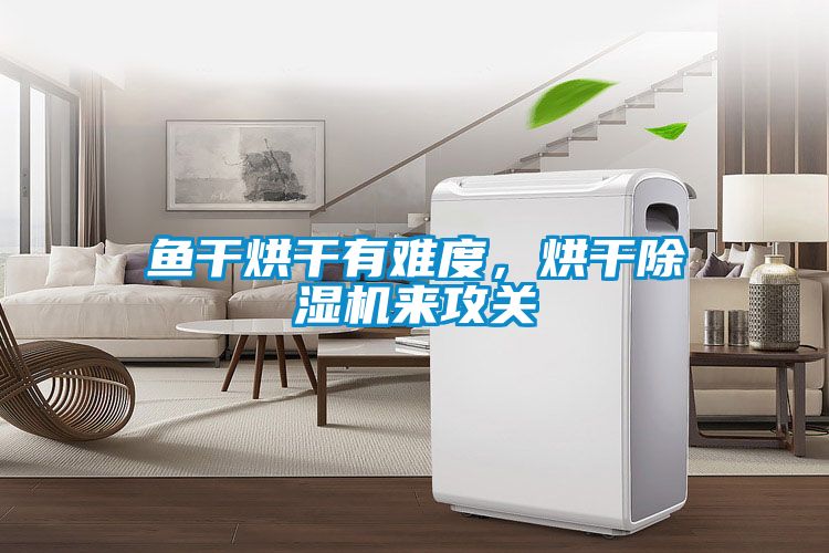 鱼干烘干有难度，烘干香蕉视频国产APP下载机来攻关