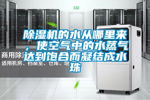 香蕉视频国产APP下载机的水从哪里来，使空气中的水蒸气达到饱合而凝结成水珠