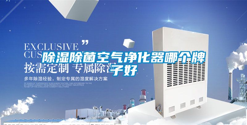 香蕉视频国产APP下载除菌空气净化器哪个牌子好