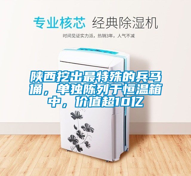 陕西挖出最特殊的兵马俑，单独陈列于恒温箱中，价值超10亿