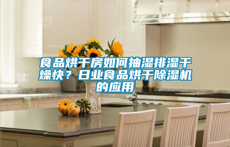 食品烘干房如何抽湿排湿干燥快？日业食品烘干香蕉视频国产APP下载机的应用