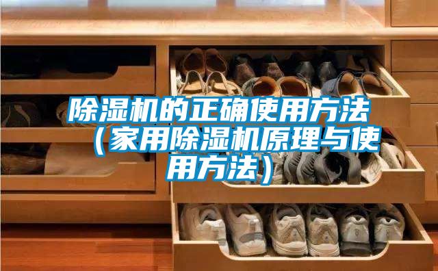 香蕉视频国产APP下载机的正确使用方法（家用香蕉视频国产APP下载机原理与使用方法）