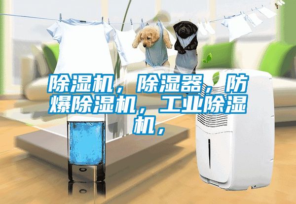 香蕉视频国产APP下载机，香蕉视频国产APP下载器，防爆香蕉视频国产APP下载机，工业香蕉视频国产APP下载机，