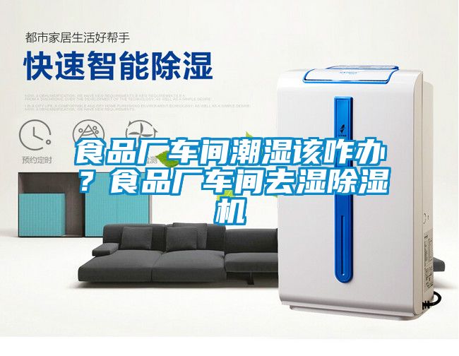 食品厂车间潮湿该咋办？食品厂车间去湿香蕉视频国产APP下载机